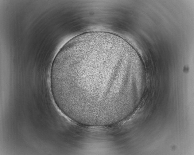 X0000098090863200805021044