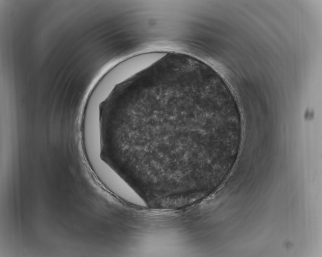 X0000098090864200805021044