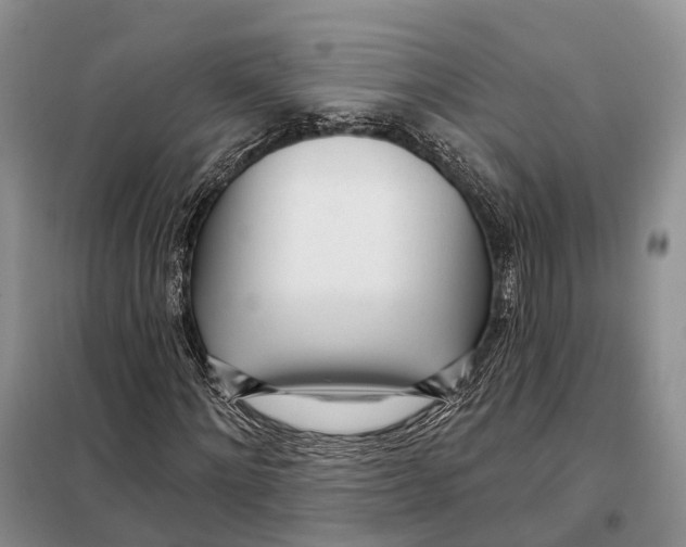 X0000098090868200805021043