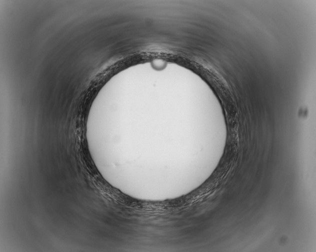 X0000098090870200805021043