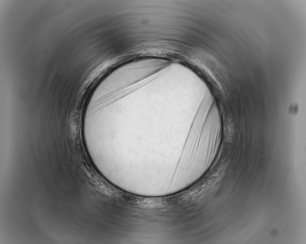 X0000098090874200805021043