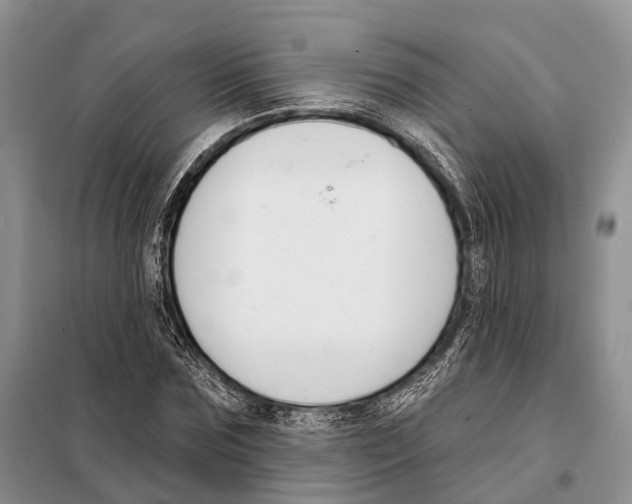 X0000098090875200805021043