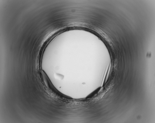 X0000098090877200805021043