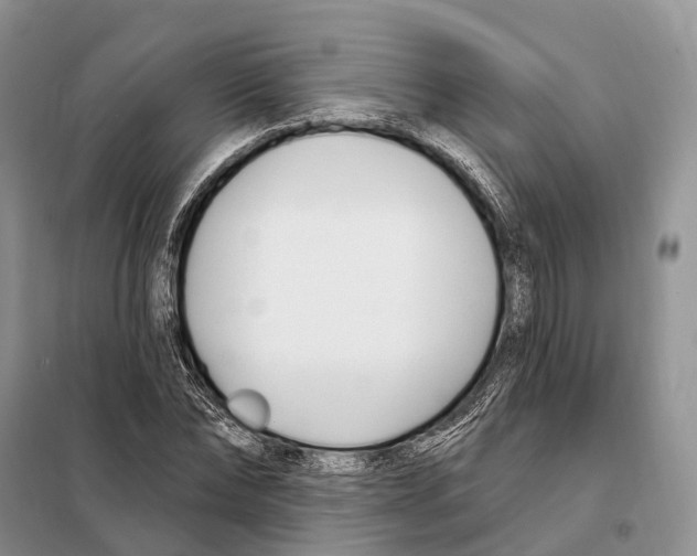 X0000098090878200805021043