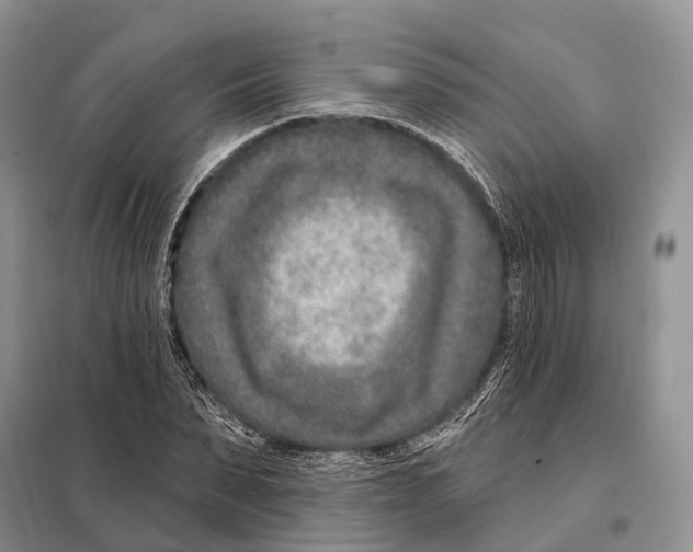 X0000098090879200805021043