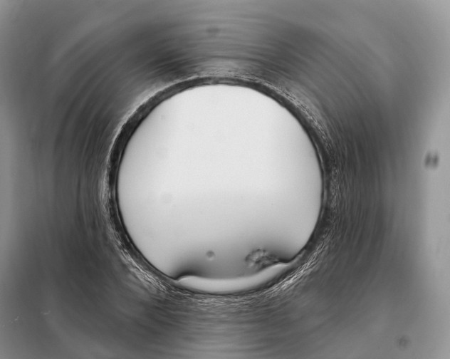 X0000098090880200805021043