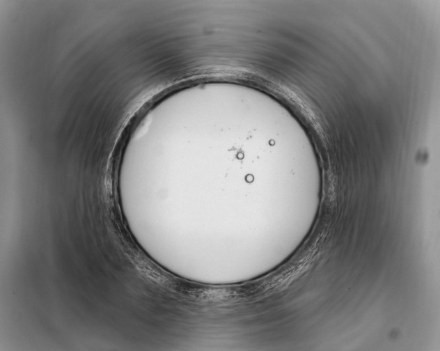 X0000098090883200805021043