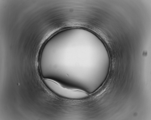 X0000098090885200805021043