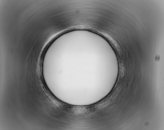 X0000098090886200805021043