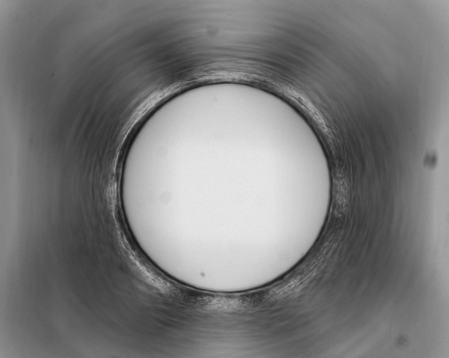 X0000098090890200805021043