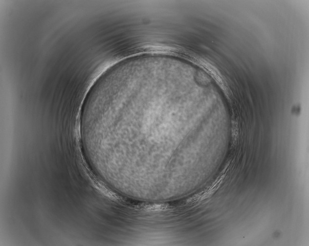 X0000098090891200805021043