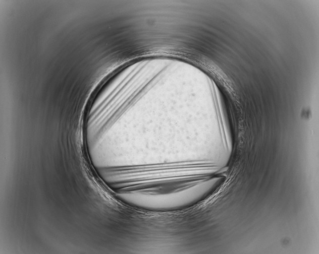 X0000098090892200805021043