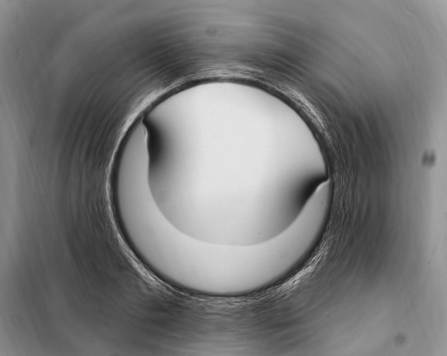 X0000098090893200805021043