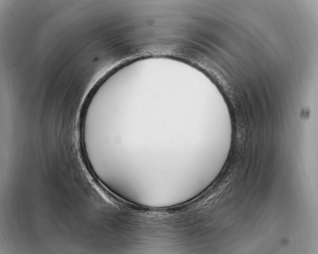 X0000098090894200805021043