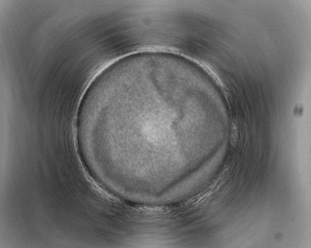 X0000098090895200805021043