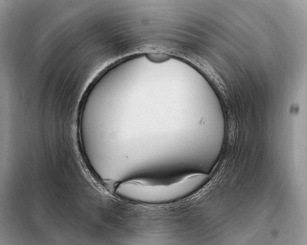 X0000098090896200805021043