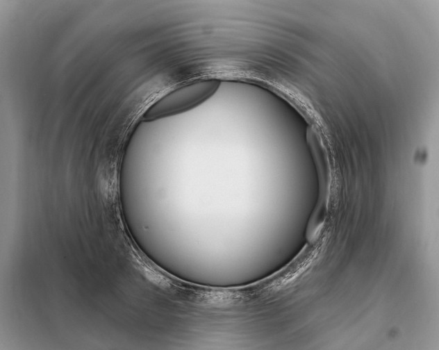 X0000098090897200805021043