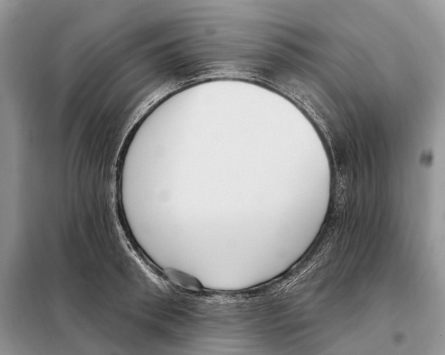 X0000098090898200805021043