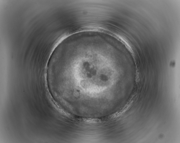 X0000098090899200805021043