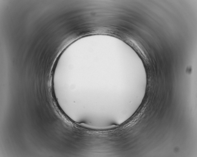 X0000098090900200805021043