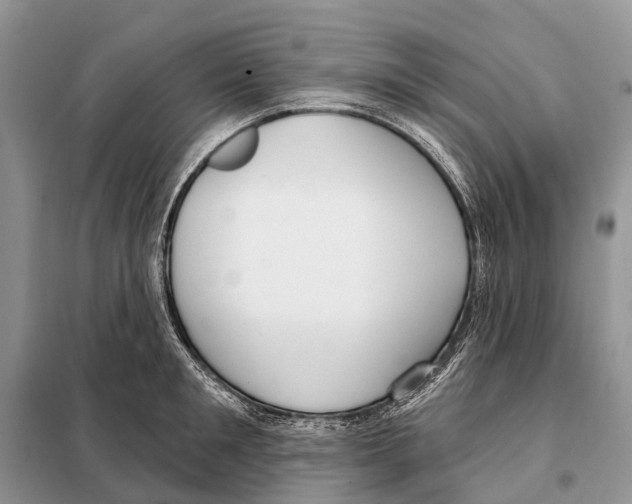 X0000098090901200805021043