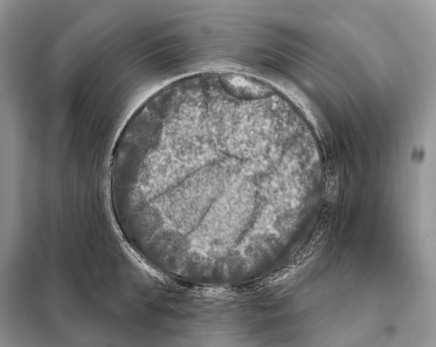 X0000098090903200805021043