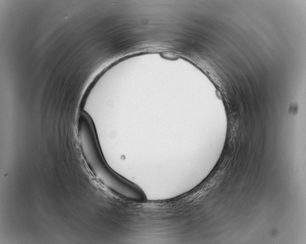 X0000098090904200805021043