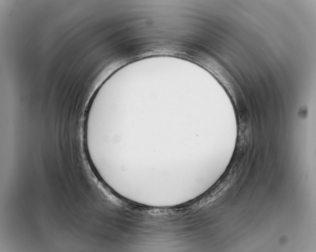 X0000098090906200805021043