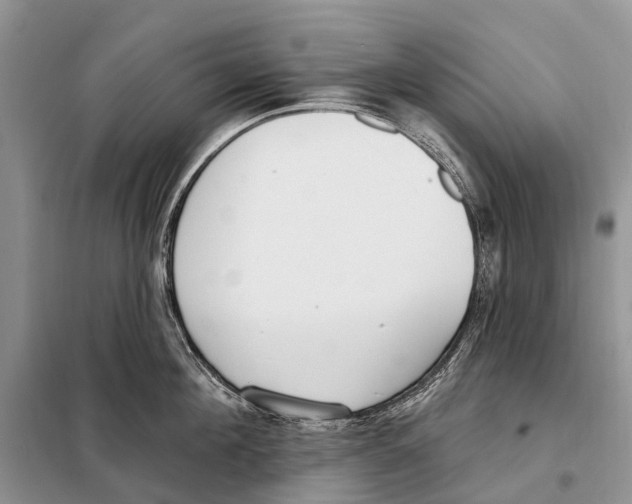 X0000098090908200805021043