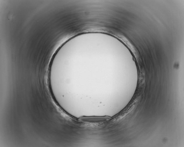 X0000098090909200805021043