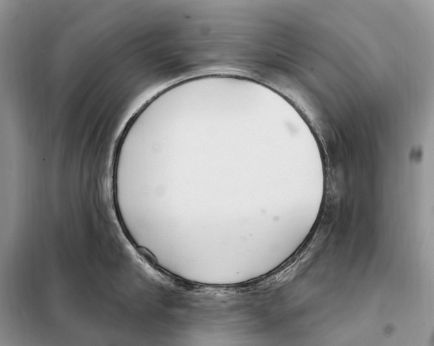 X0000098090910200805021043