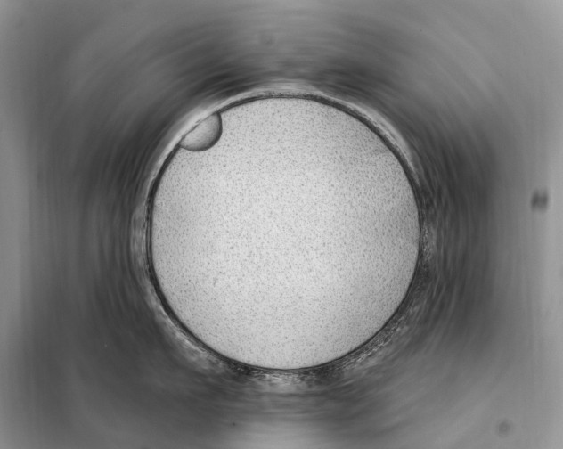 X0000098090911200805021043