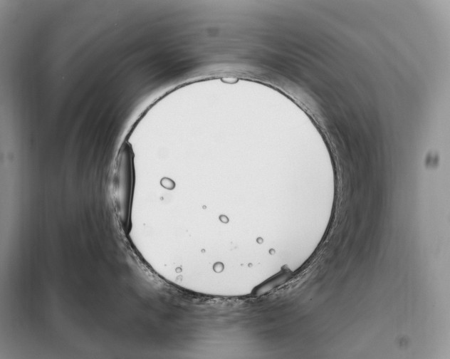 X0000098090912200805021043