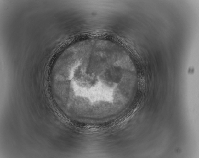 X0000098090913200805021042