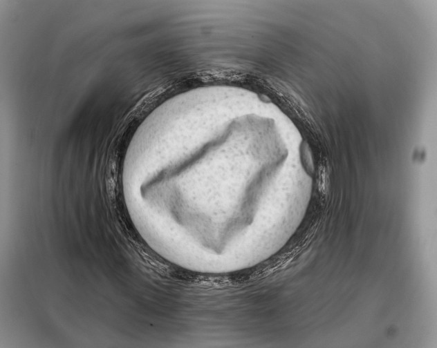 X0000098090915200805021042