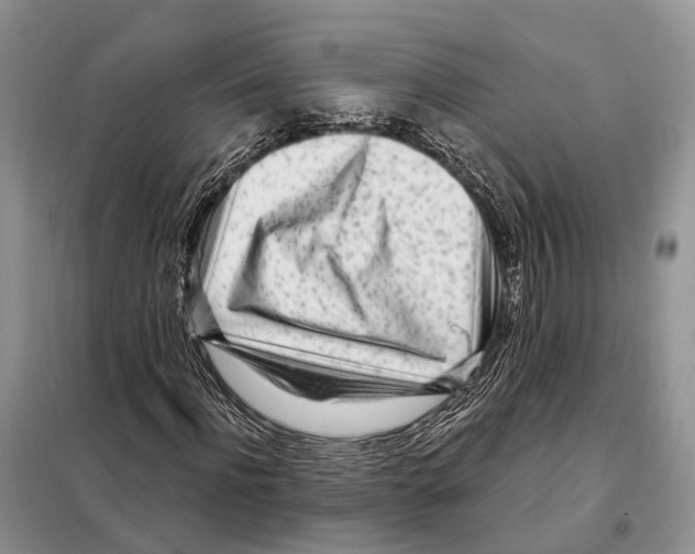 X0000098090916200805021042