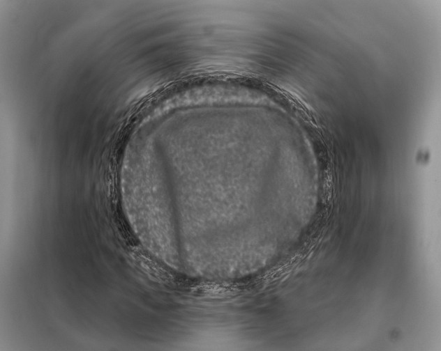 X0000098090917200805021042