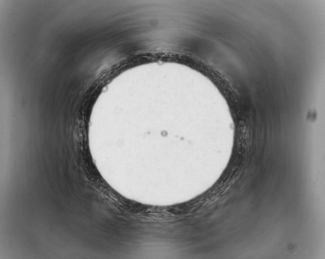 X0000098090918200805021042