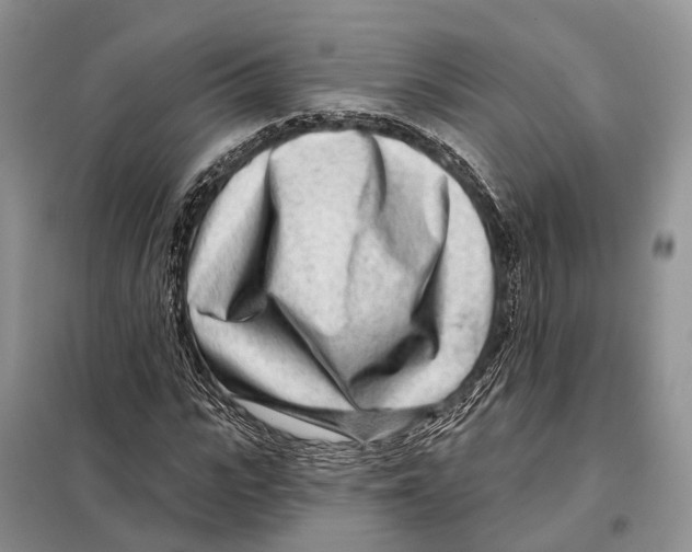 X0000098090919200805021042