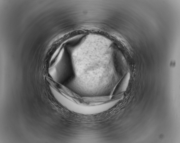 X0000098090920200805021042