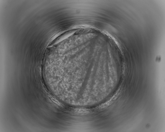 X0000098090921200805021042