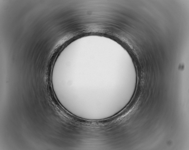 X0000098090922200805021042