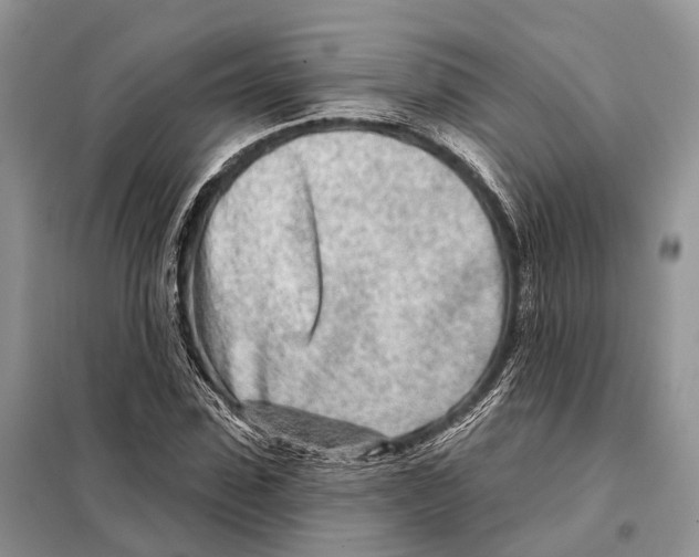 X0000098090923200805021042