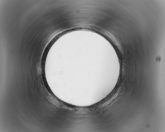 X0000098090924200805021042