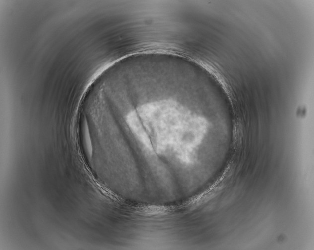 X0000098090925200805021042