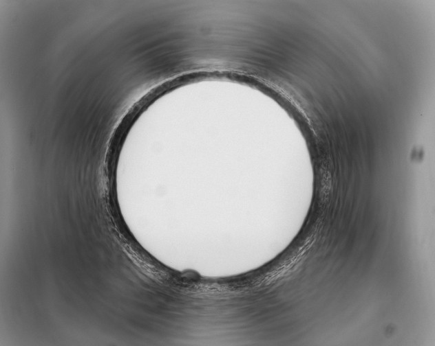 X0000098090927200805021042