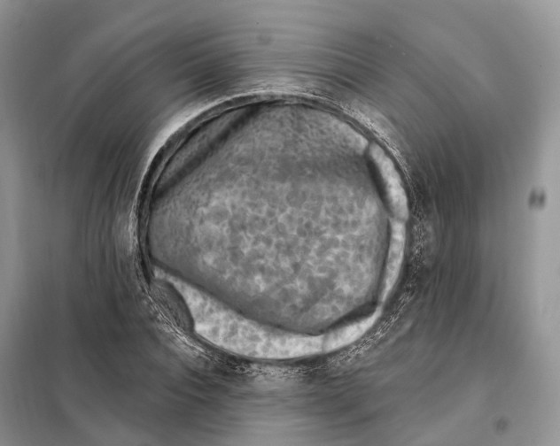 X0000098090928200805021042