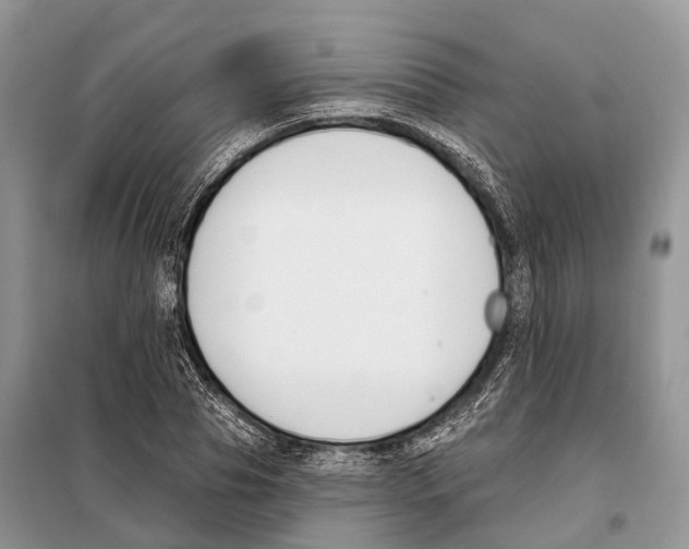 X0000098090929200805021042