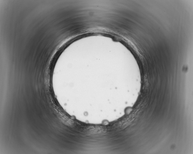 X0000098090931200805021042