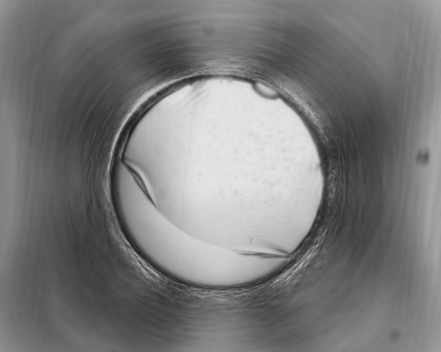 X0000098090932200805021042